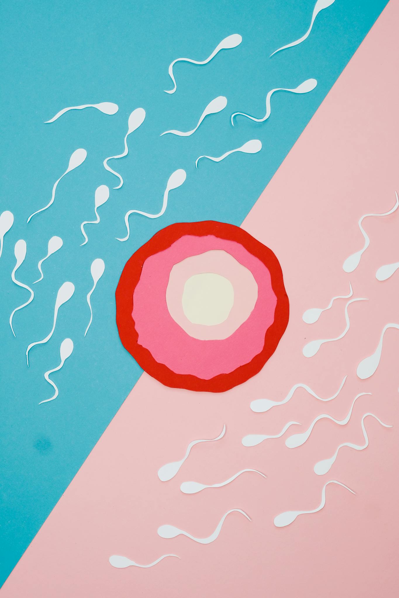 Colorful abstract illustration of sperm approaching an ovum, symbolizing fertilization.