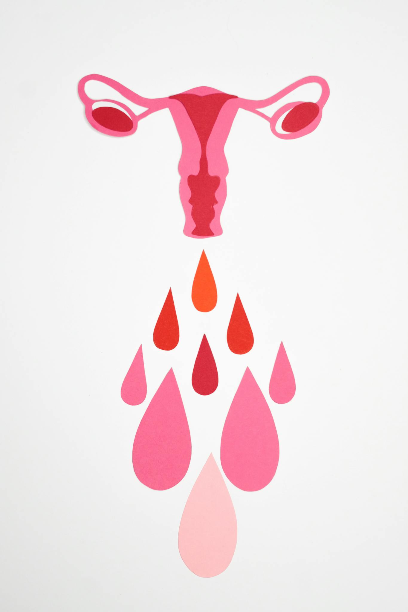 Graphic representation of the female reproductive system highlighting menstruation with colorful abstract shapes.
