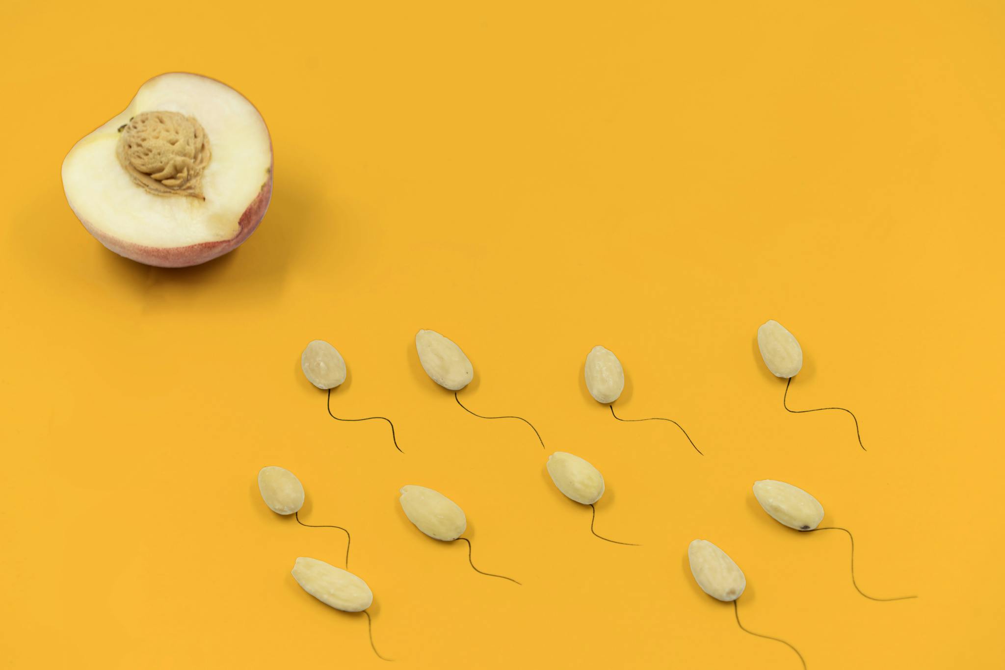 Conceptual image depicting almond sperms racing towards a peach half symbolizing an egg on a vibrant yellow background.